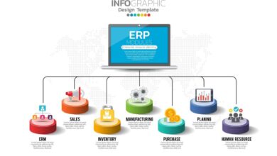 ERP services
