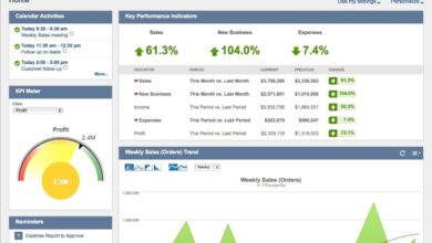 NetSuite vs SAP