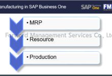 SAP Business One