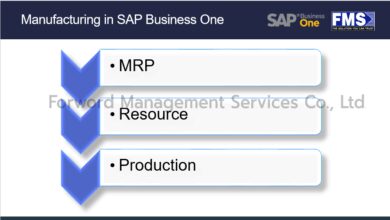 SAP Business One